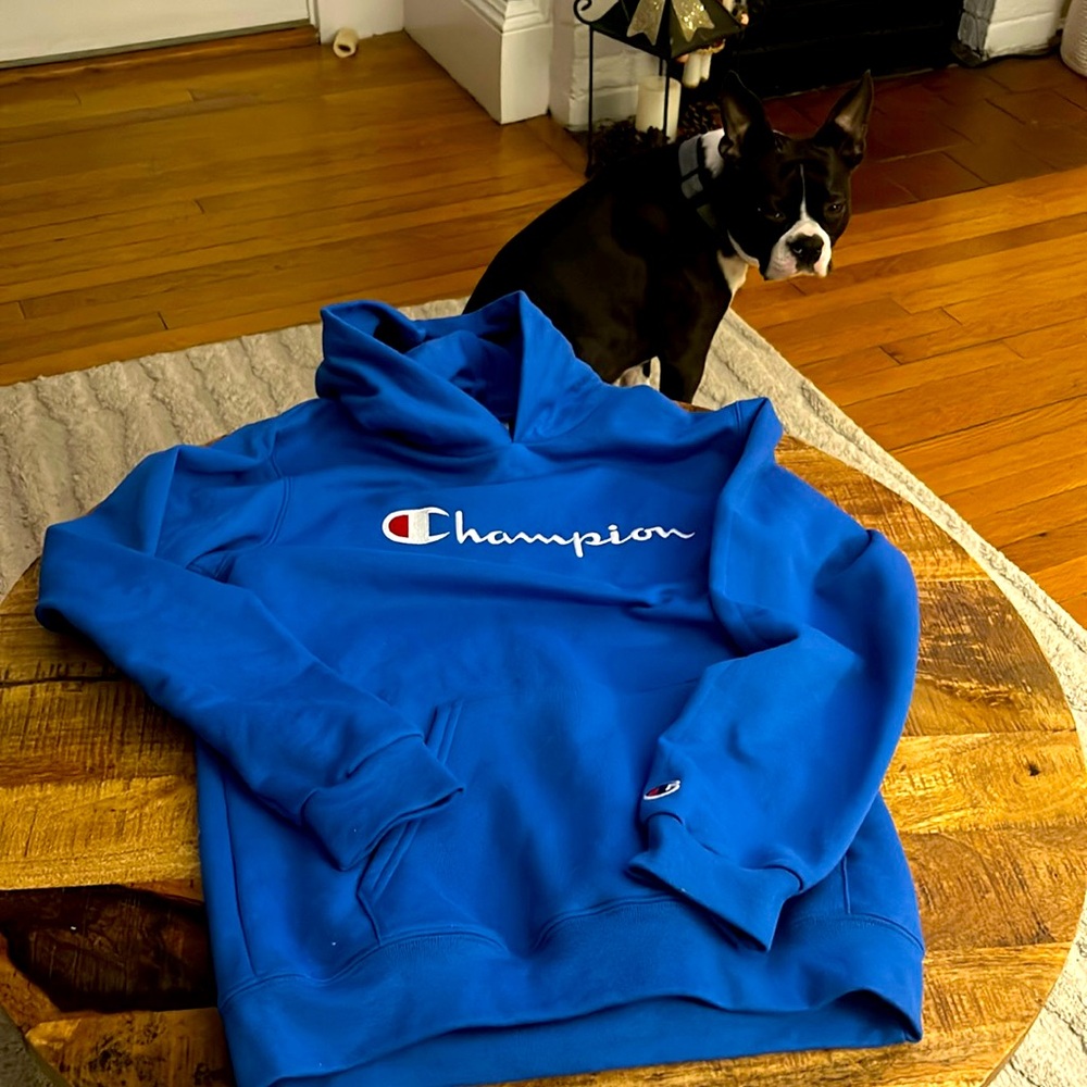 New, never worn Champion sweatshirt